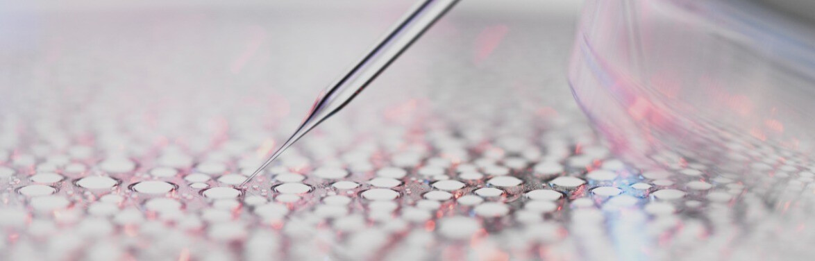 Entdecken Sie unseren einzigartigen wissenschaftlichen Ansatz, die Ekobiologie.