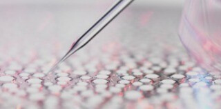 Entdecken Sie unseren einzigartigen wissenschaftlichen Ansatz, die Ekobiologie.